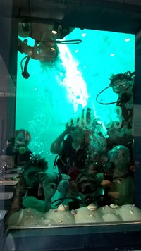 wp_20160320_13_54_40_pro.jpg